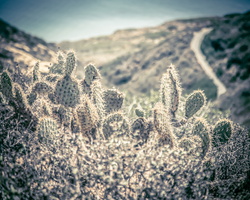 2015 05-San Diego Point Loma Coast